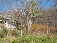 390 Dry Road, Unit 10A 9 Speedwell, VA 24374 - Photo 9 of 9 Gallery Image 9