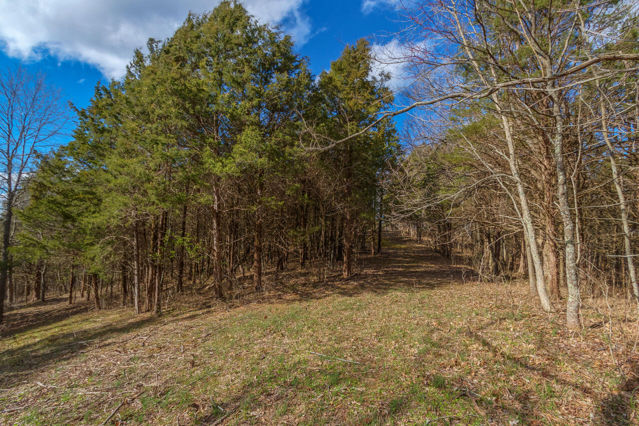 1 Camp Pleasant Road Frankfort, KY 40601 - Photo 11 of 67 030-2918-Cedar-Rd-Stamping-Ground-KY-403