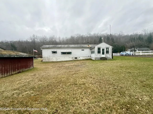 a view of a yard with a large tree