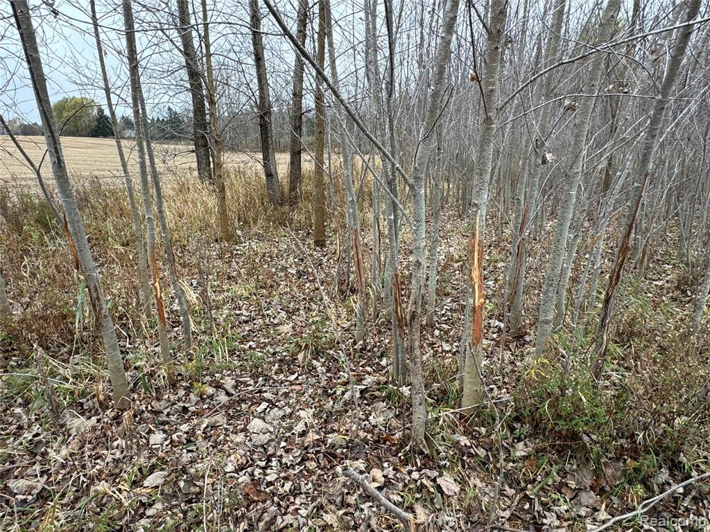 6018 Lahring Road Linden, MI 48451 - Photo 6 of 8