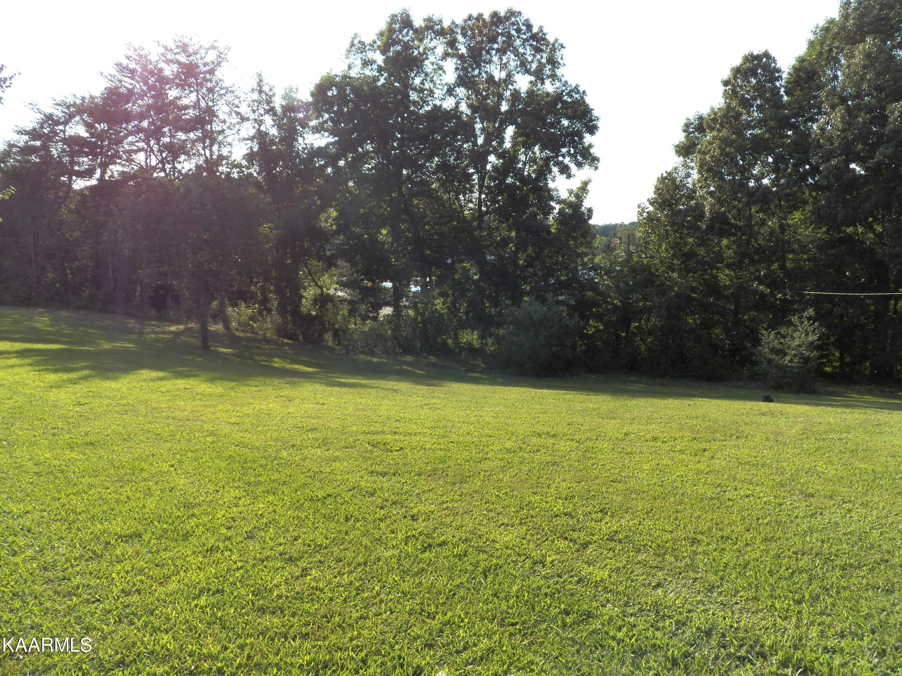 9563 Steekee School Road Loudon, TN 37774 - Photo 3 of 22 Left side yard
