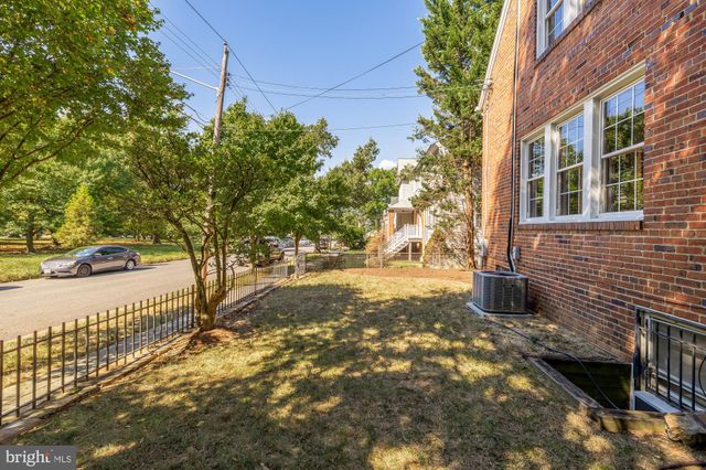 a view of a yard with plants and trees