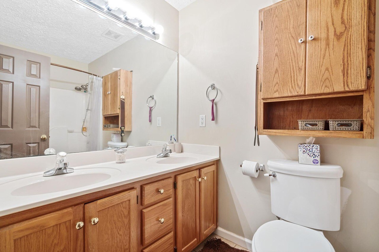 5424 Bethlehem Road Springfield, TN 37172 - Photo 22 of 28 a bathroom with a toilet a sink and mirror