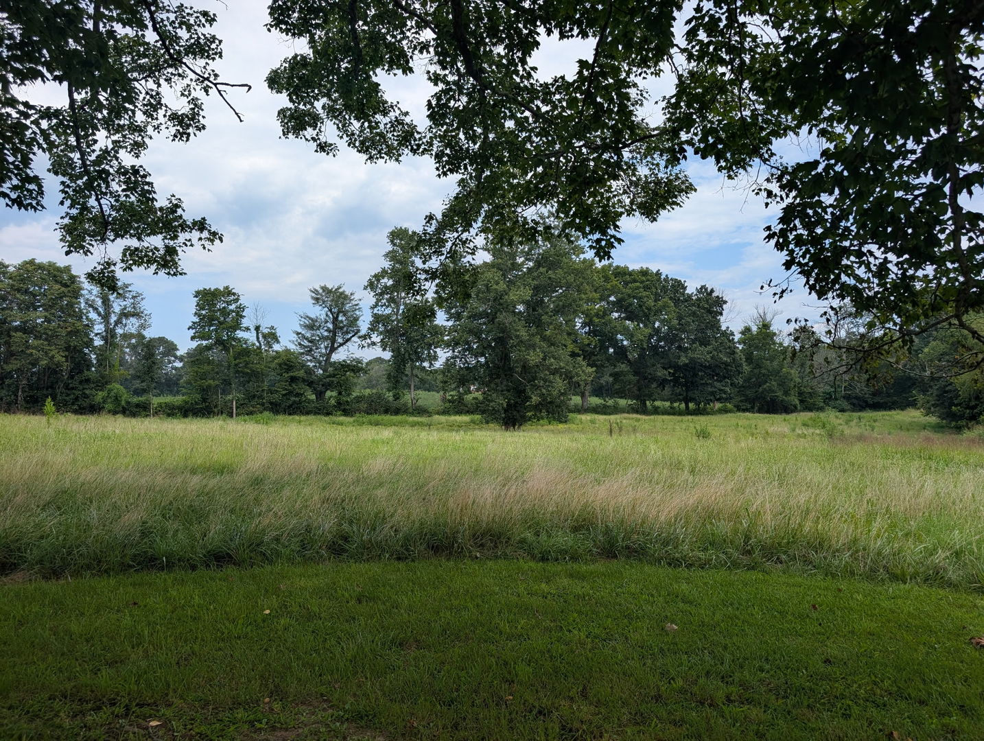 0 Fairgrounds Road Vienna, IL 62995 - Photo 4 of 14 Gallery Image 4