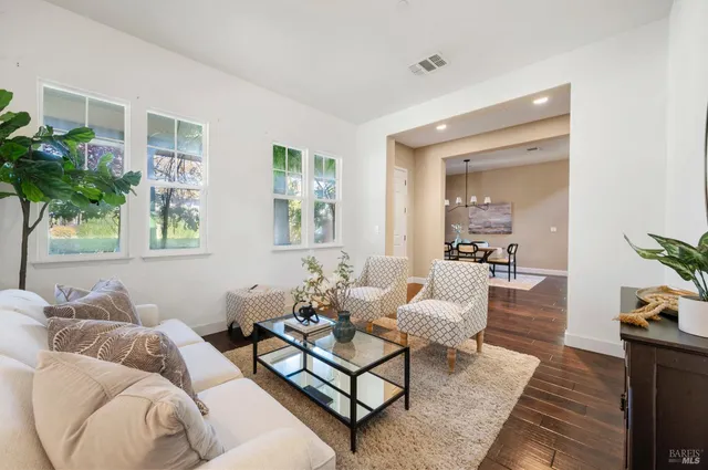 a living room with furniture flowerpot and a potted plant