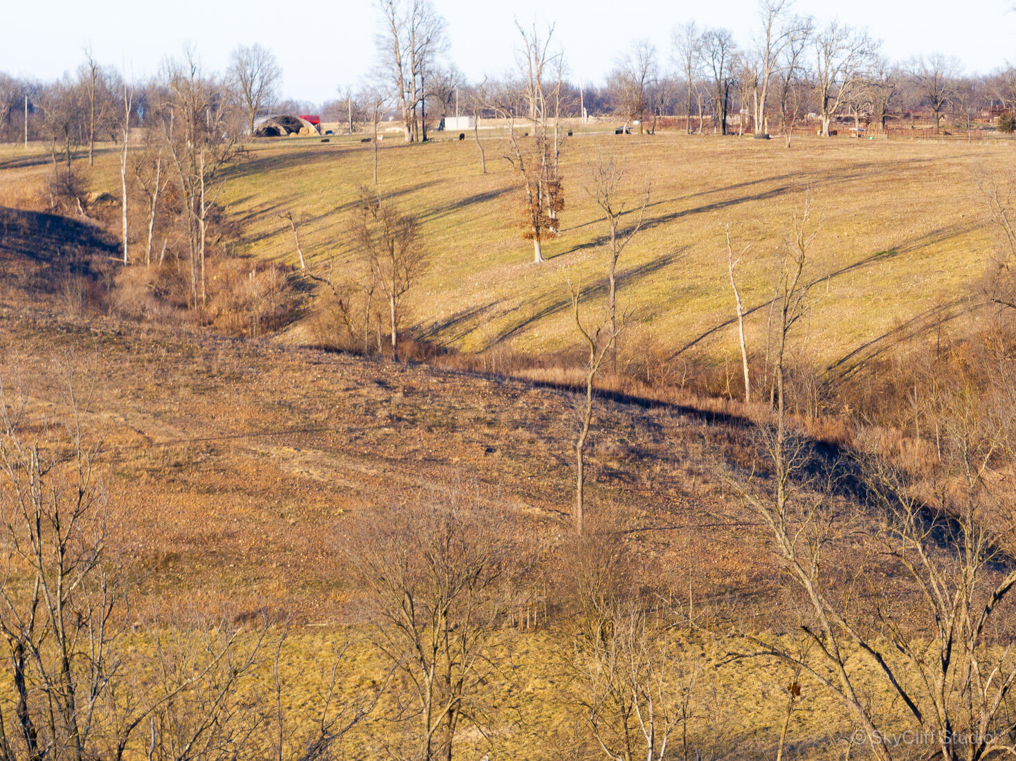 510 Duffield Road Stella, MO 64867 - Photo 29 of 39 Big Spring Ranch-0797