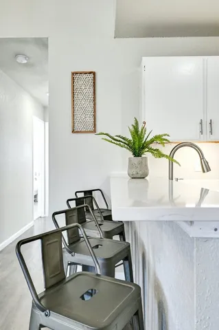 a close view of dining table with potted plant