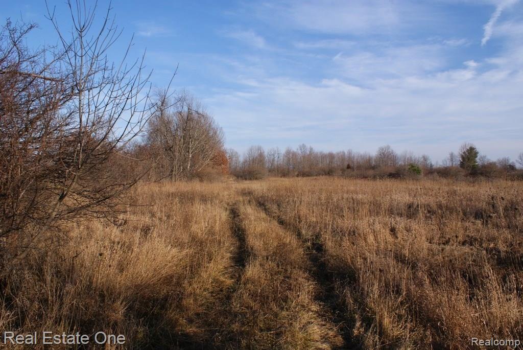 D Elba Road Lapeer, MI 48446 - Photo 1 of 6