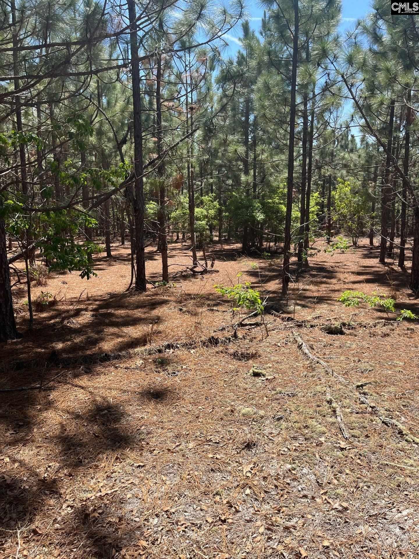 2 Beaver Dam Road Cassatt, SC 29032 - Photo 8 of 9