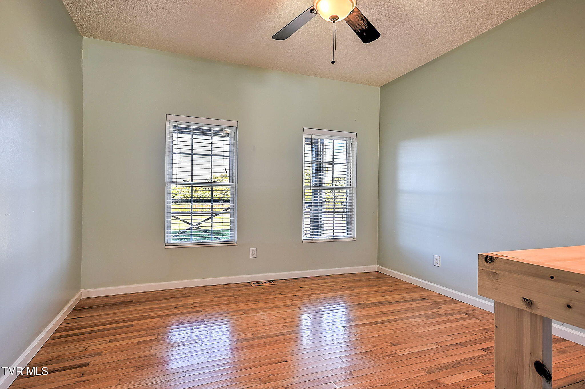 152 Painter Road Fall Branch, TN 37656 - Photo 10 of 32 17-web-or-mls-153 Painter TM-17