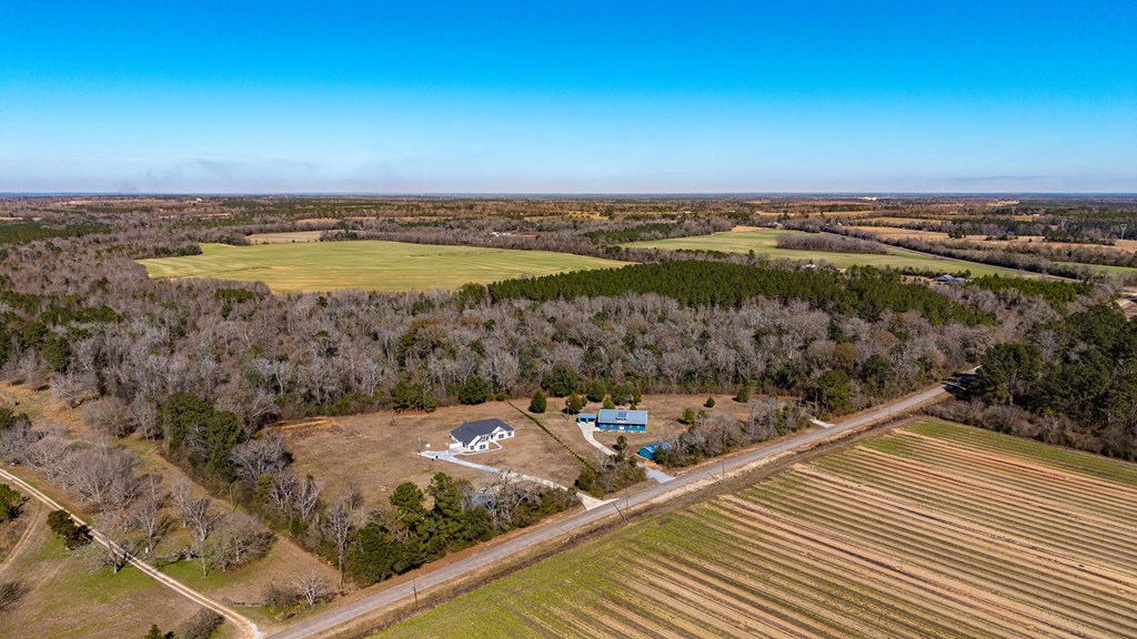 0 Bruner Pond Road Ashford, AL 36312 - Photo 8 of 30