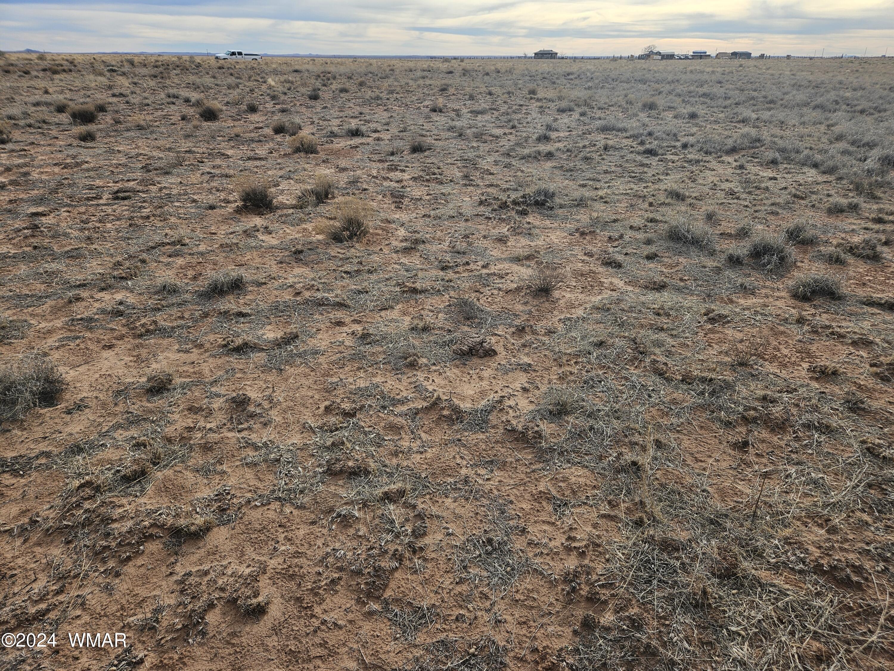 7978 Sandhill Road Holbrook, AZ 86029 - Photo 5 of 12 a view of a dry yard with trees