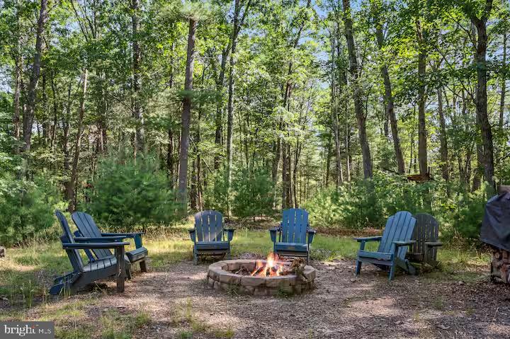 393 Timber Run Road Mathias, WV 26812 - Photo 28 of 31 How fun is this?