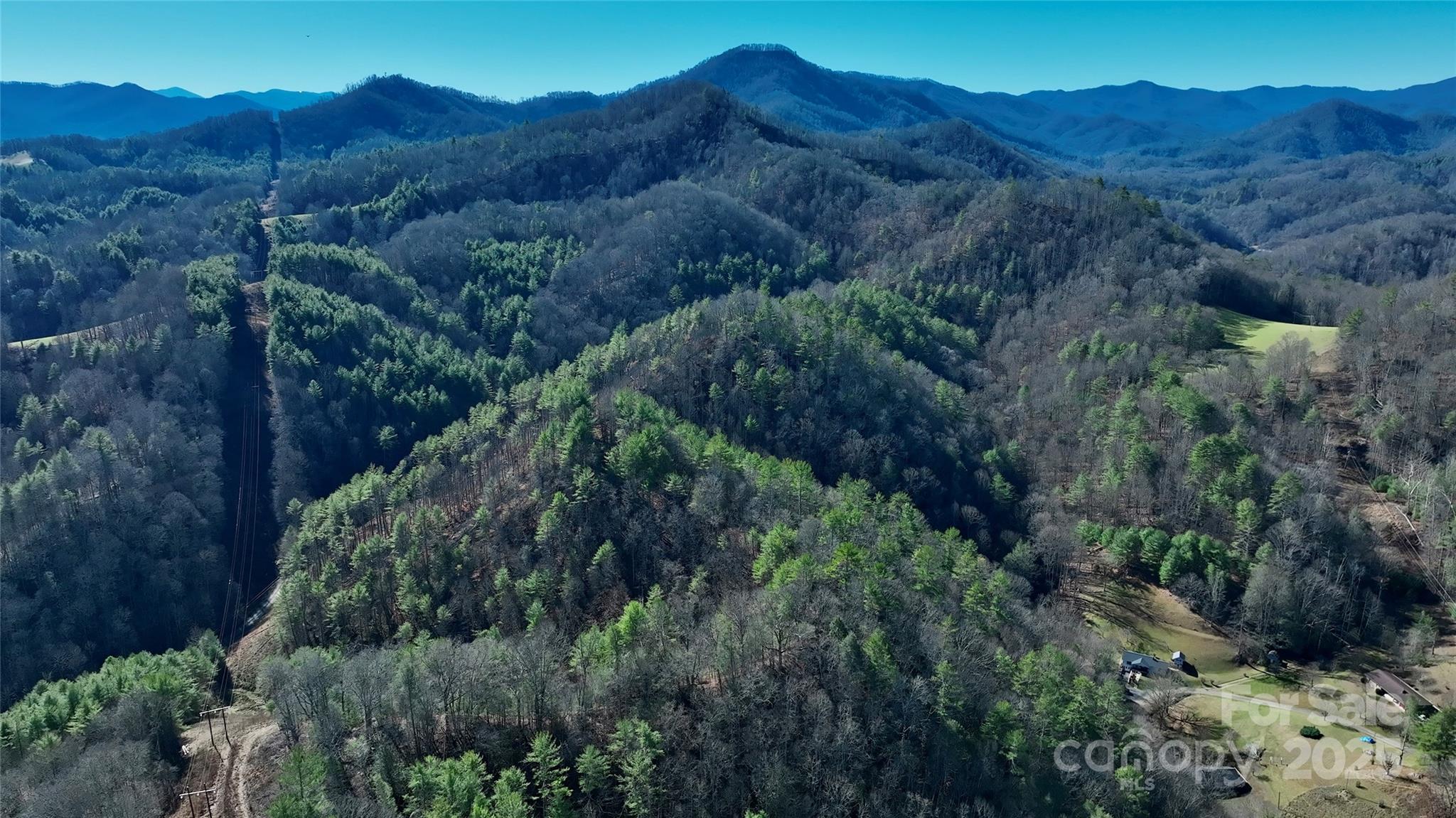 295 Bennett Branch Road Green Mountain, NC 28740 - Photo 12 of 19