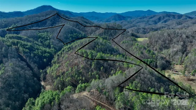 a view of a yard with an outdoor space