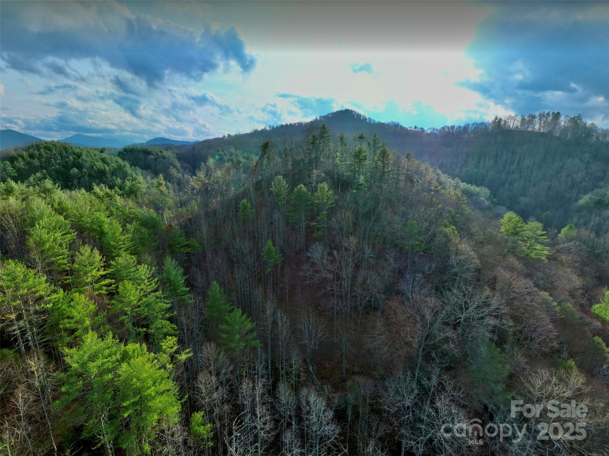 295 Bennett Branch Road Green Mountain, NC 28740 - Photo 17 of 19 a view of a mountain range with trees in the background