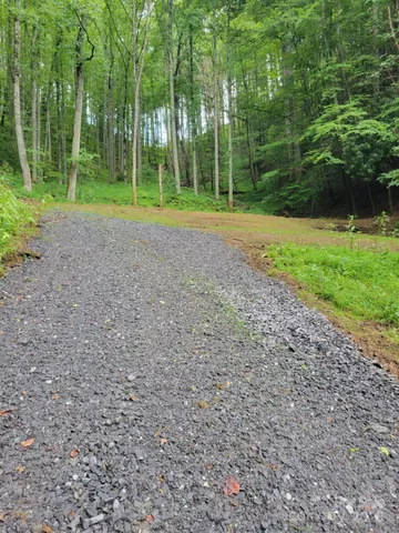 a view of outdoor space with trees all around