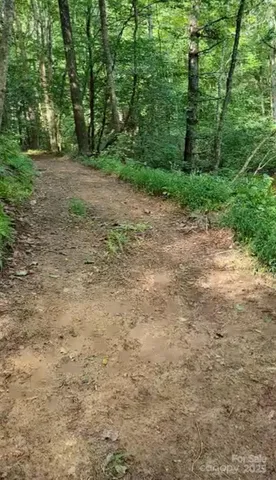 a view of a yard with a tree