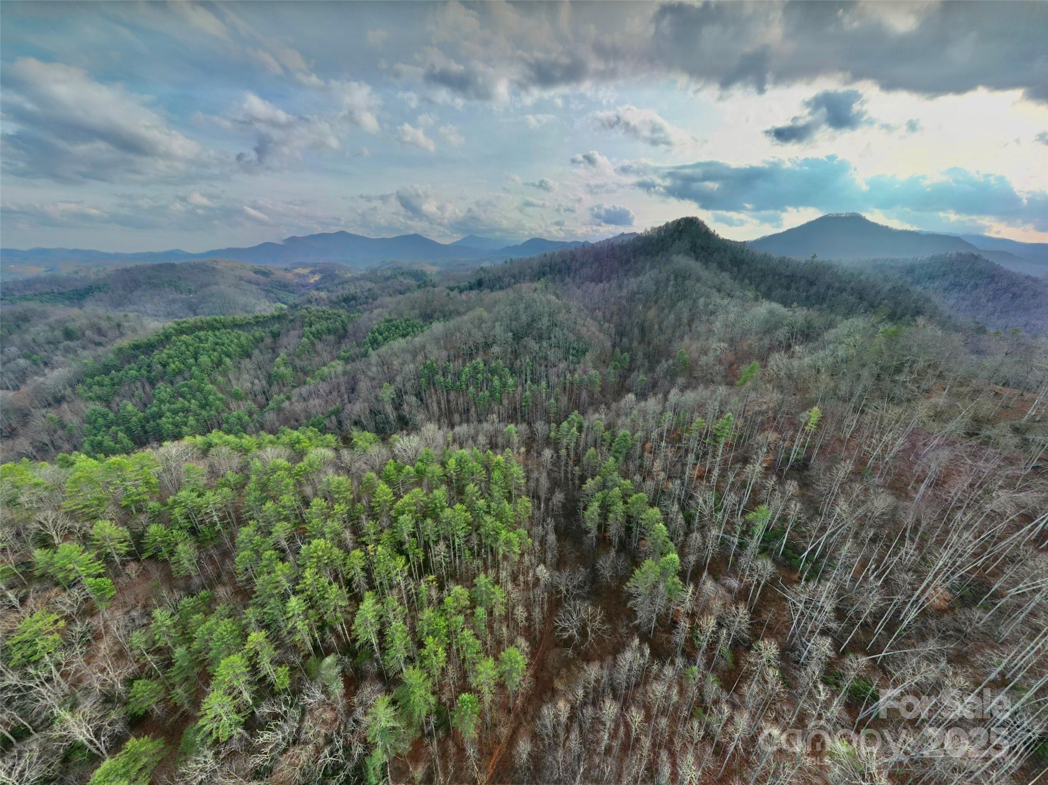 295 Bennett Branch Road Green Mountain, NC 28740 - Photo 9 of 19