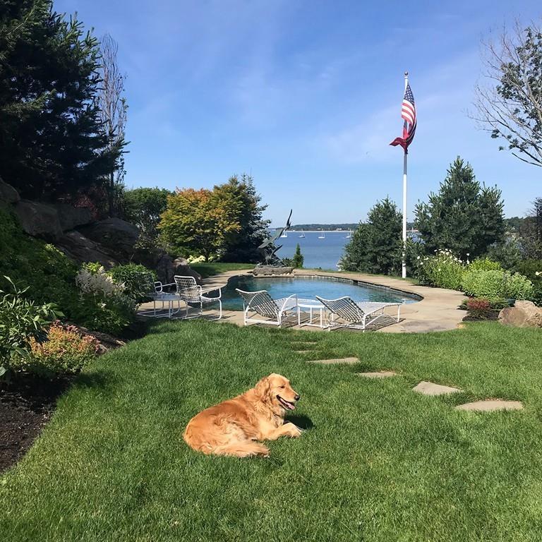 10 Smiths Point Road Manchester, MA 01944 - Photo 5 of 25 a backyard of a house with table and chairs plants and large trees