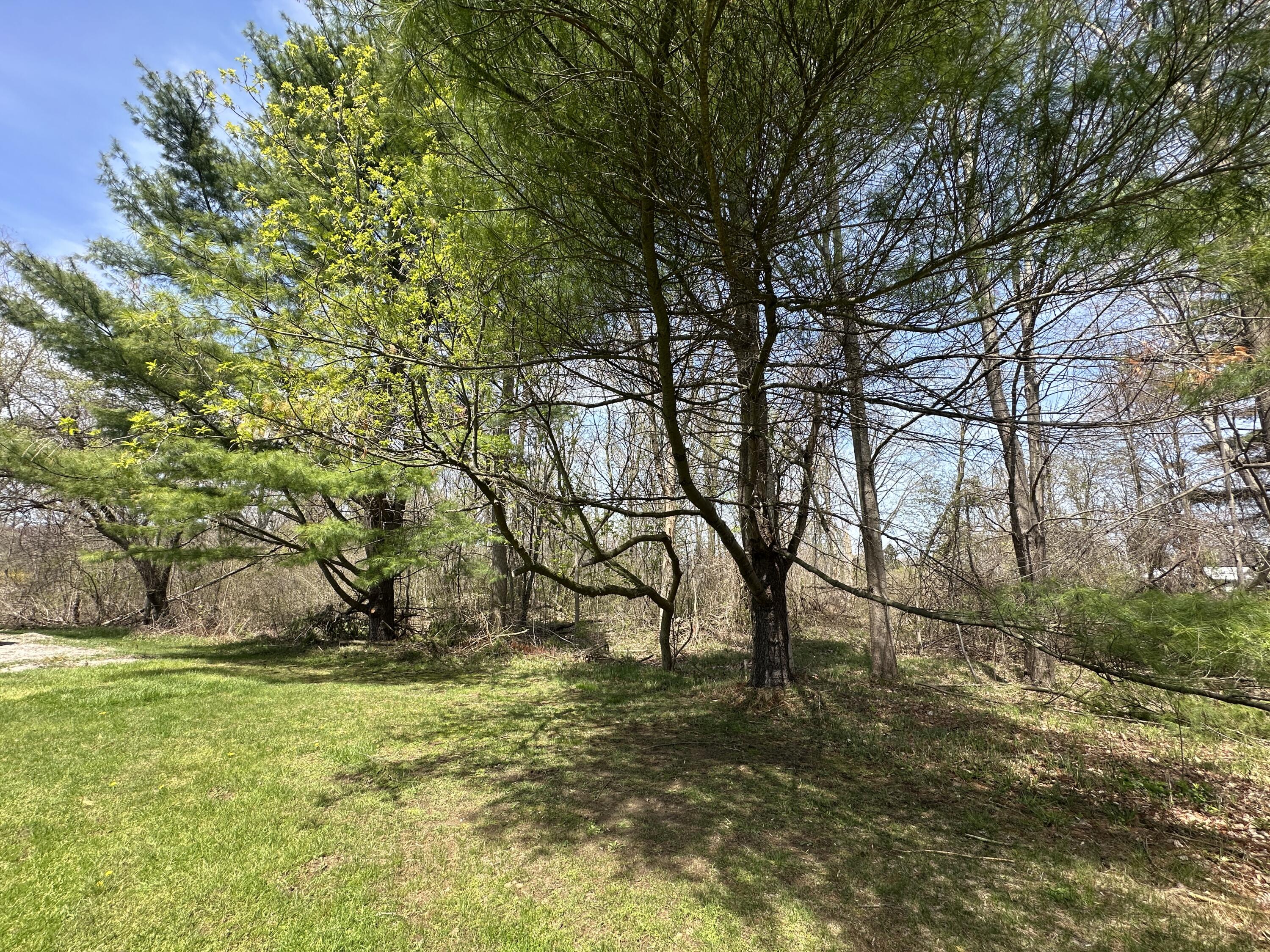Atkins Road North Street, MI 48049 - Photo 13 of 15 IMG_6288