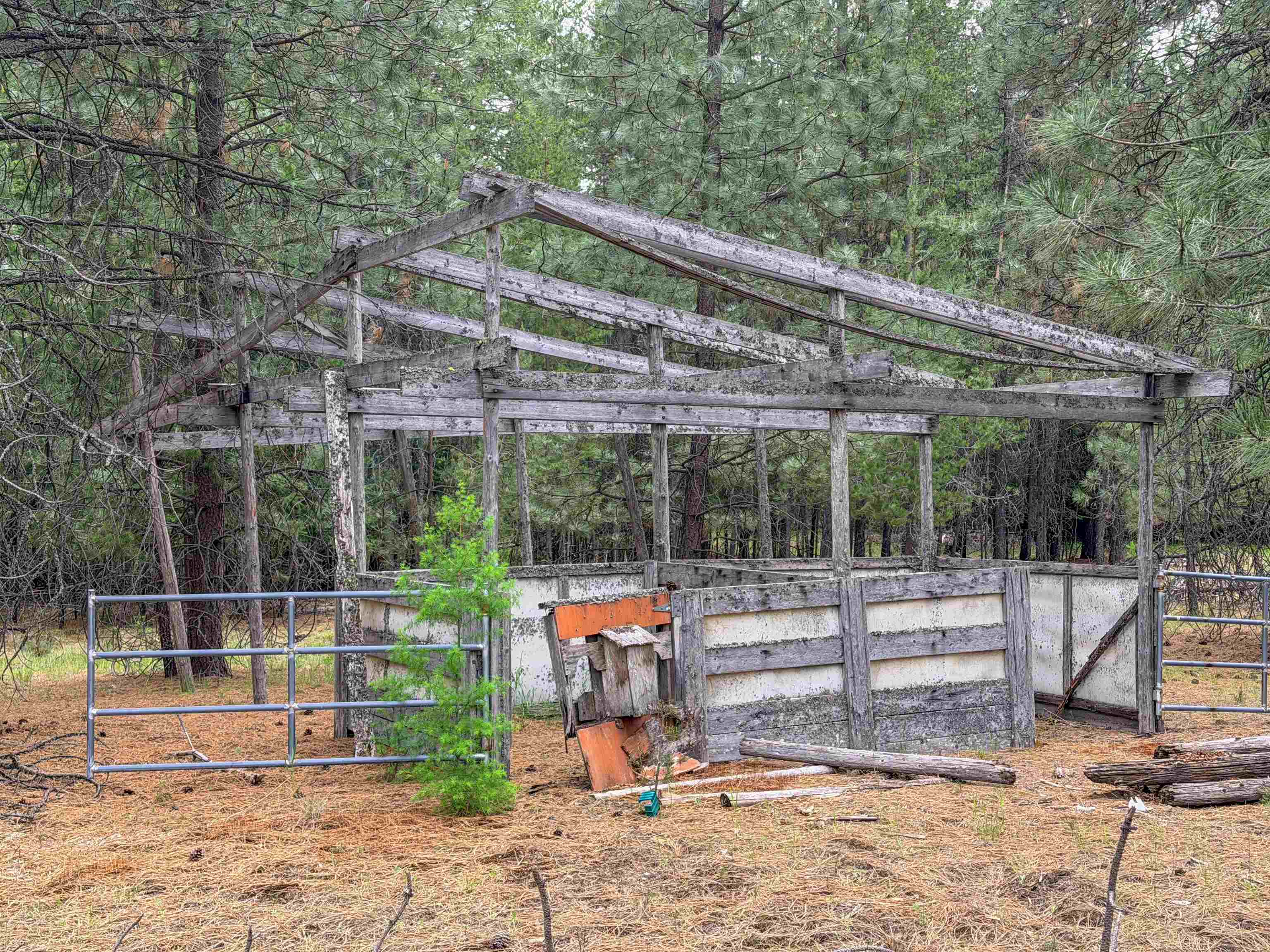 14451 LeClerc Road North Cusick, WA 99119 - Photo 28 of 33