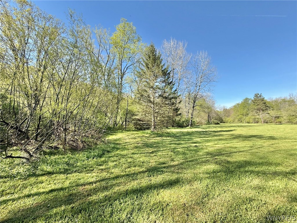 3137 Bear Creek Road Machias, NY 14737 - Photo 4 of 50
