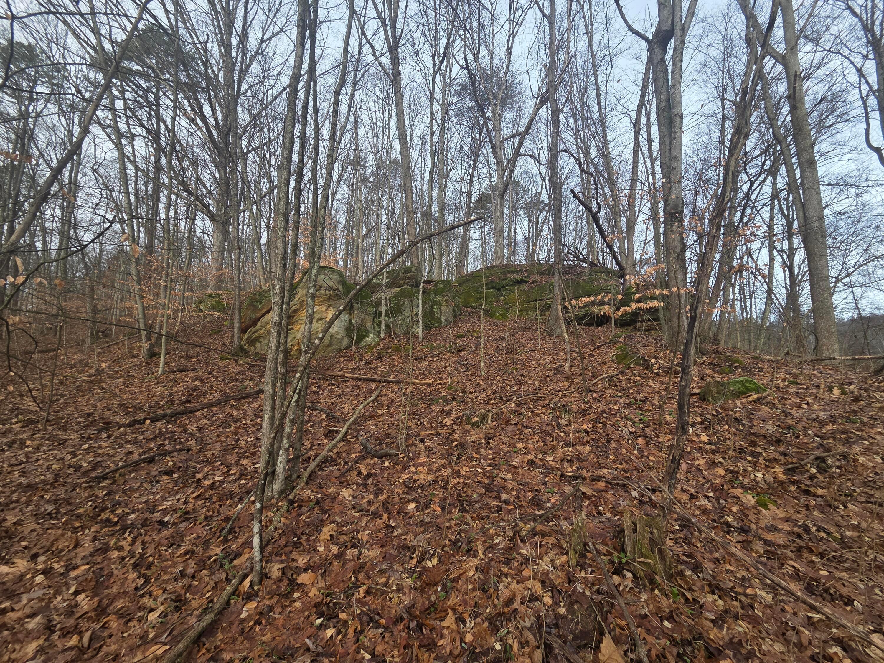 12001 West Buck Run Road Rockbridge, OH 43149 - Photo 1 of 12