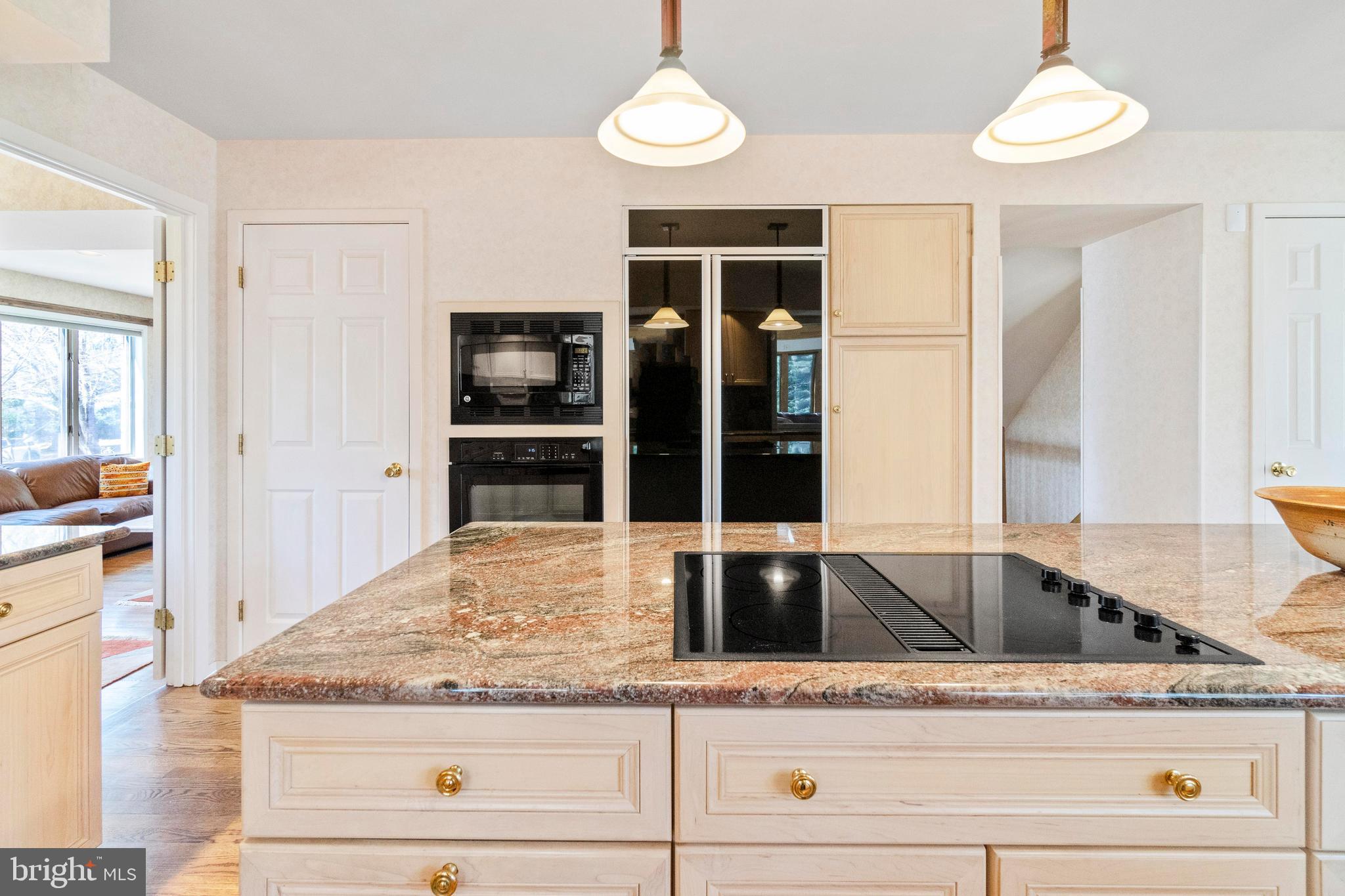 313 Delight Meadows Road Reisterstown, MD 21136 - Photo 4 of 50 Built in frig/pantry and tons of cabinets