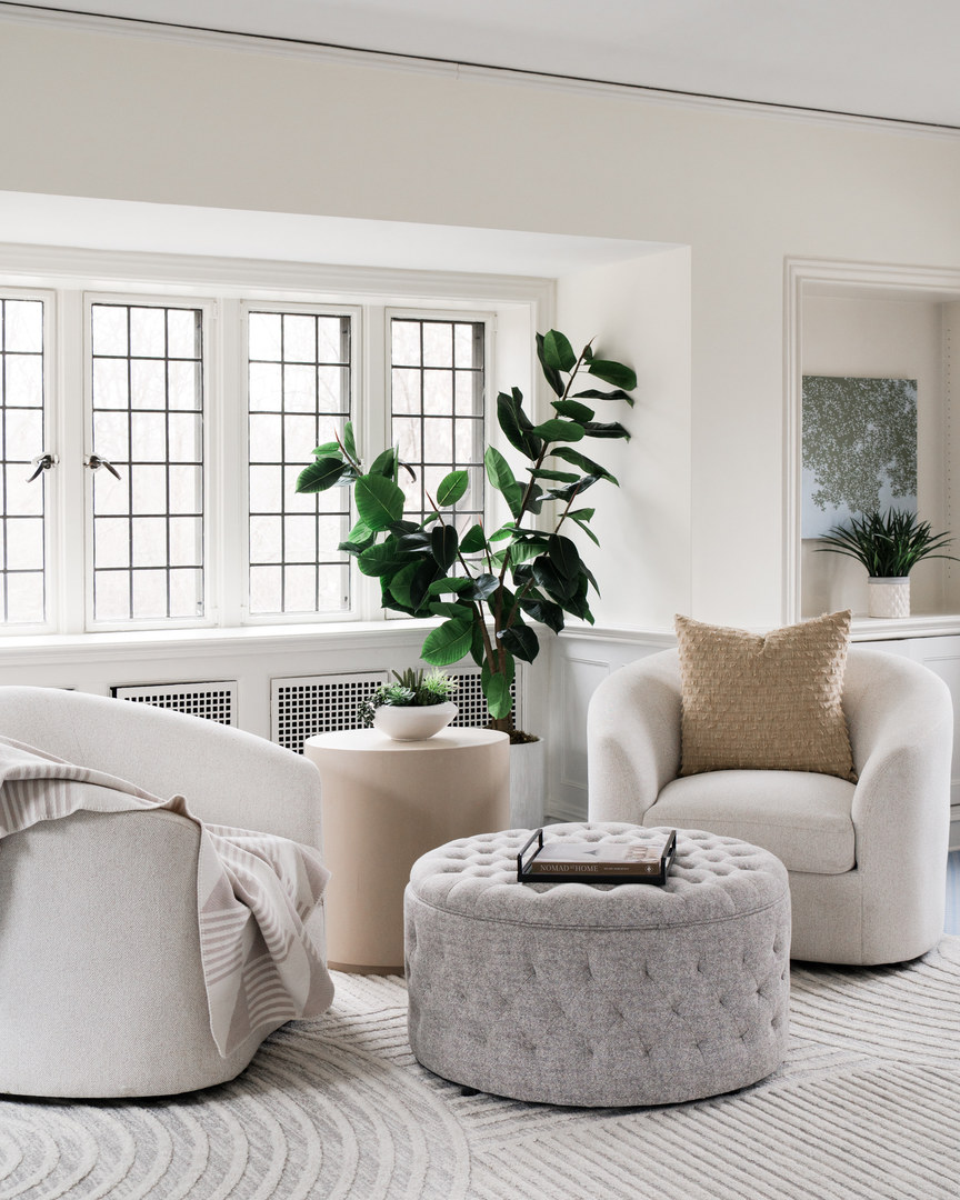 1650 Green Bay Road Lake Bluff, IL 60044 - Photo 32 of 63 a living room with furniture and a potted plant