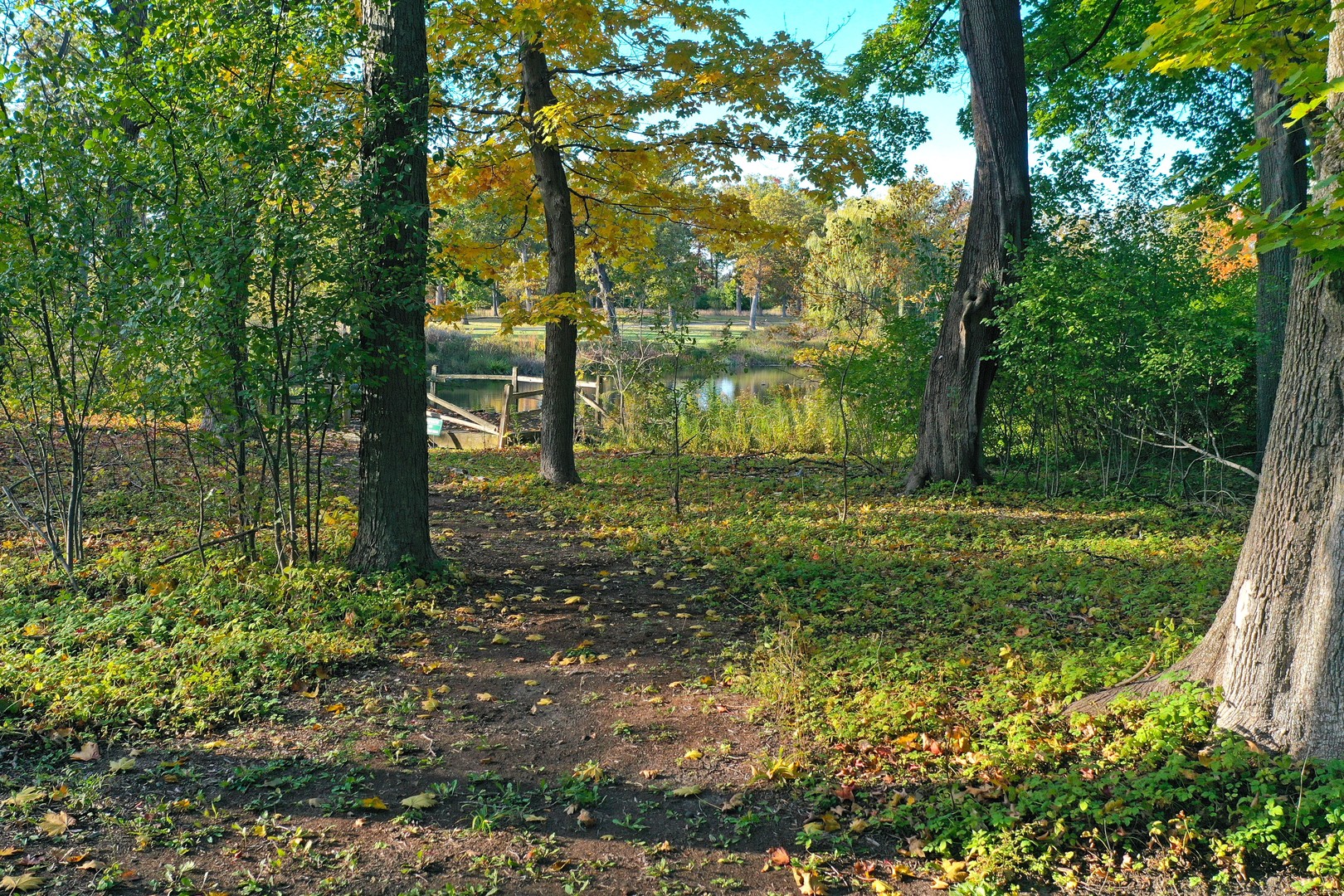 1650 Green Bay Road Lake Bluff, IL 60044 - Photo 51 of 63 a big yard with lots of green space and plants