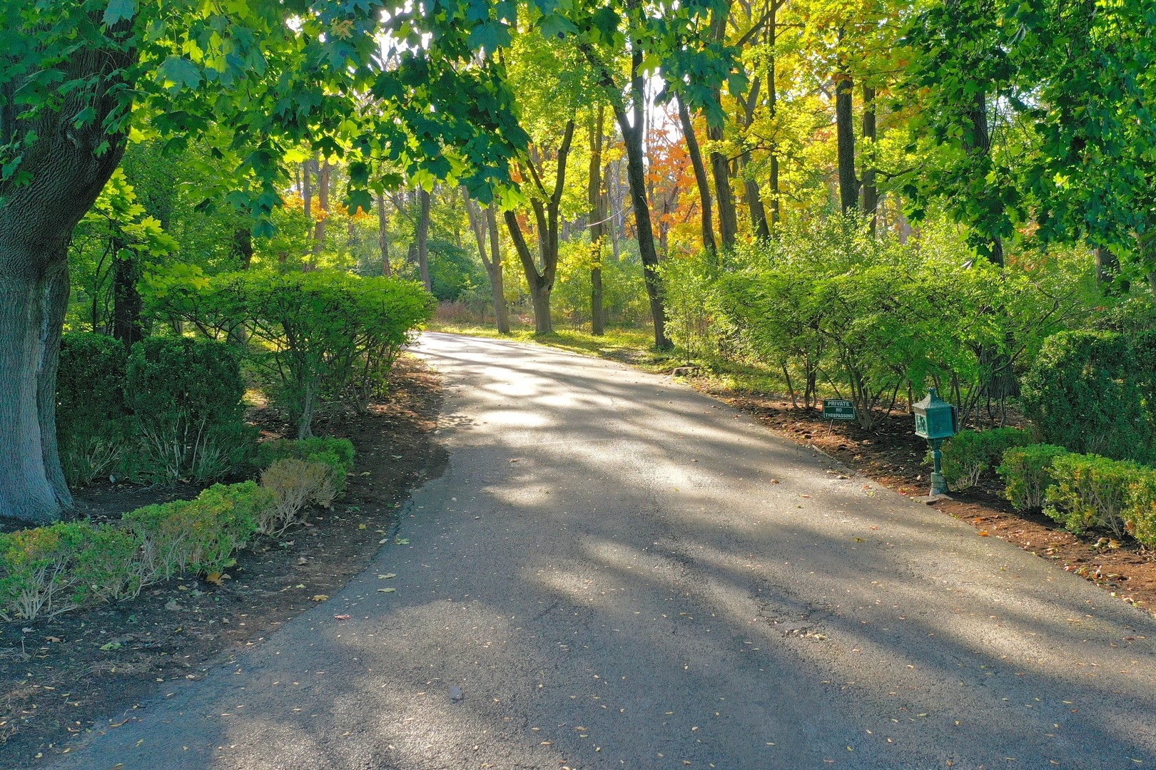 1650 Green Bay Road Lake Bluff, IL 60044 - Photo 58 of 63 a view of backyard with green space