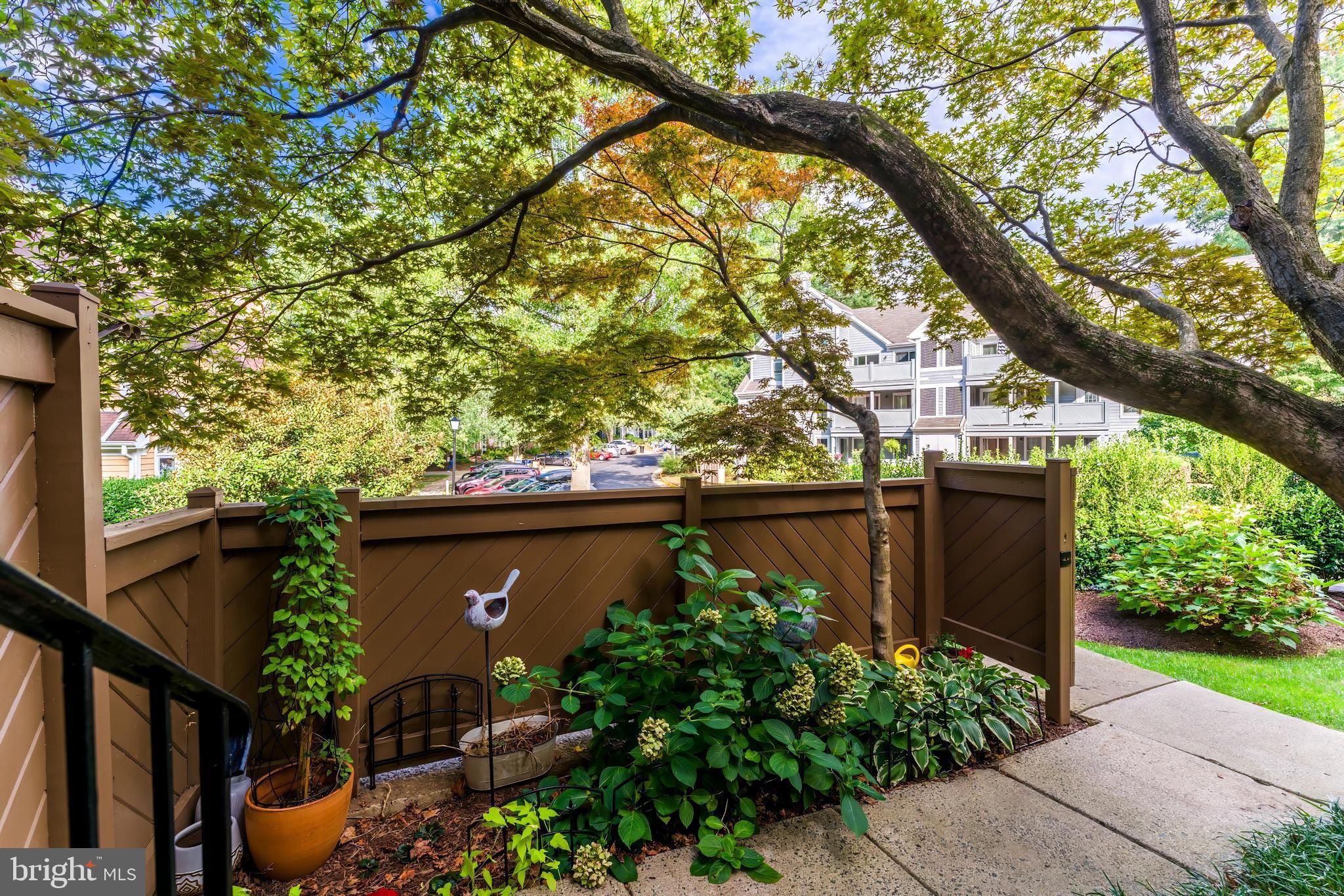 1519 Church Hill Place Reston, VA 20194 - Photo 9 of 14 a backyard of a house with lots of green space