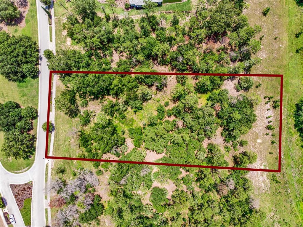 16901 Crete Way Bella Collina, FL 34756 - Photo 12 of 12 a view of a bird