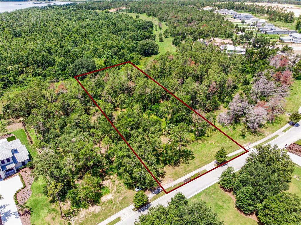 16901 Crete Way Bella Collina, FL 34756 - Photo 9 of 12 a view of a lush green forest with lots of trees