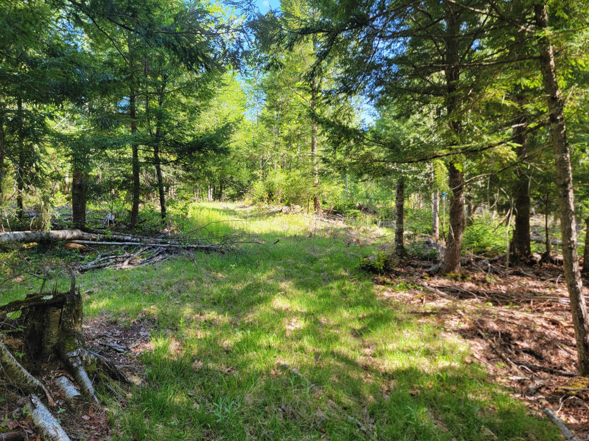 67 Bog Brook Road China, ME 04358 - Photo 1 of 12 Blueland pic 16