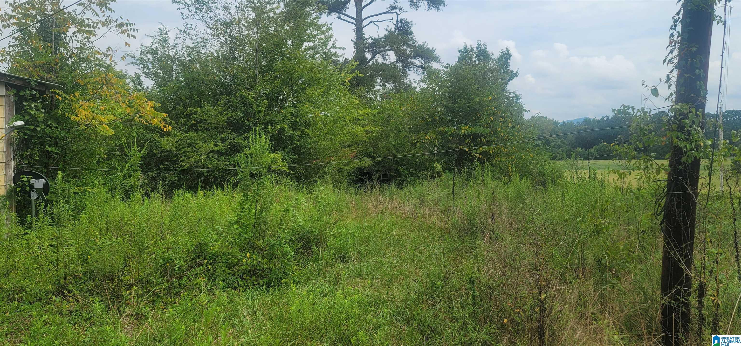 360 Foster West Road Jacksonville, AL 36265 - Photo 6 of 17