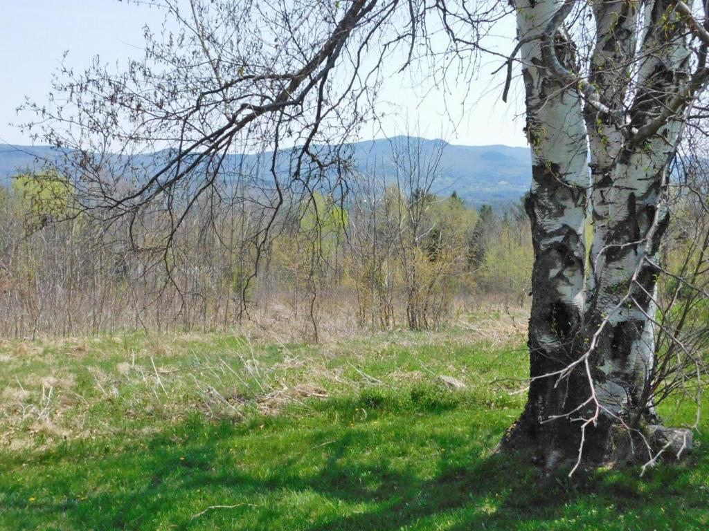 1203 Center Fayston Road Fayston, VT 05660 - Photo 9 of 23
