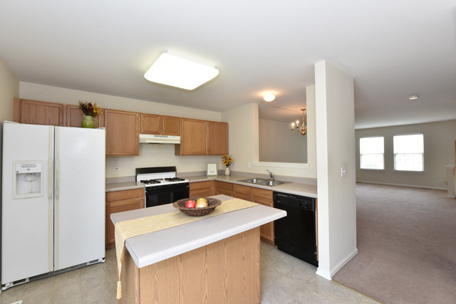 262 Holiday Lane, Unit 262 Hainesville, IL 60073 - Photo 9 of 23