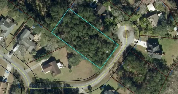 $38,000 | 15 Tupelo Drive, Brunswick, GA 31525