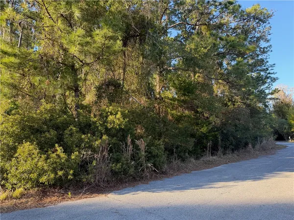 $38,000 | 15 Tupelo Drive, Brunswick, GA 31525