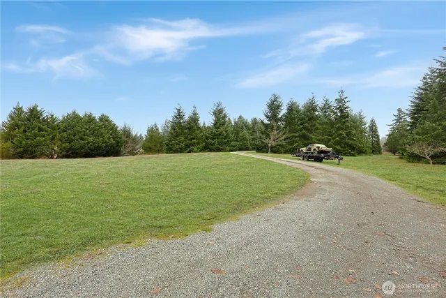 a view of a field with an ocean