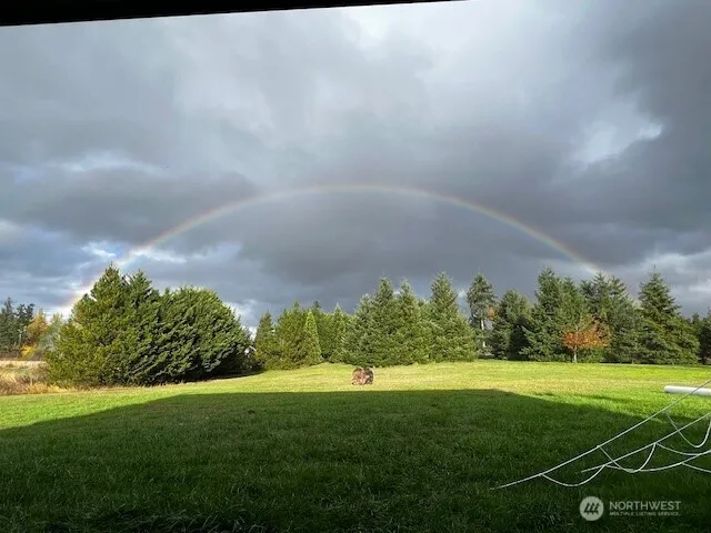 a view of a field with grass and trees