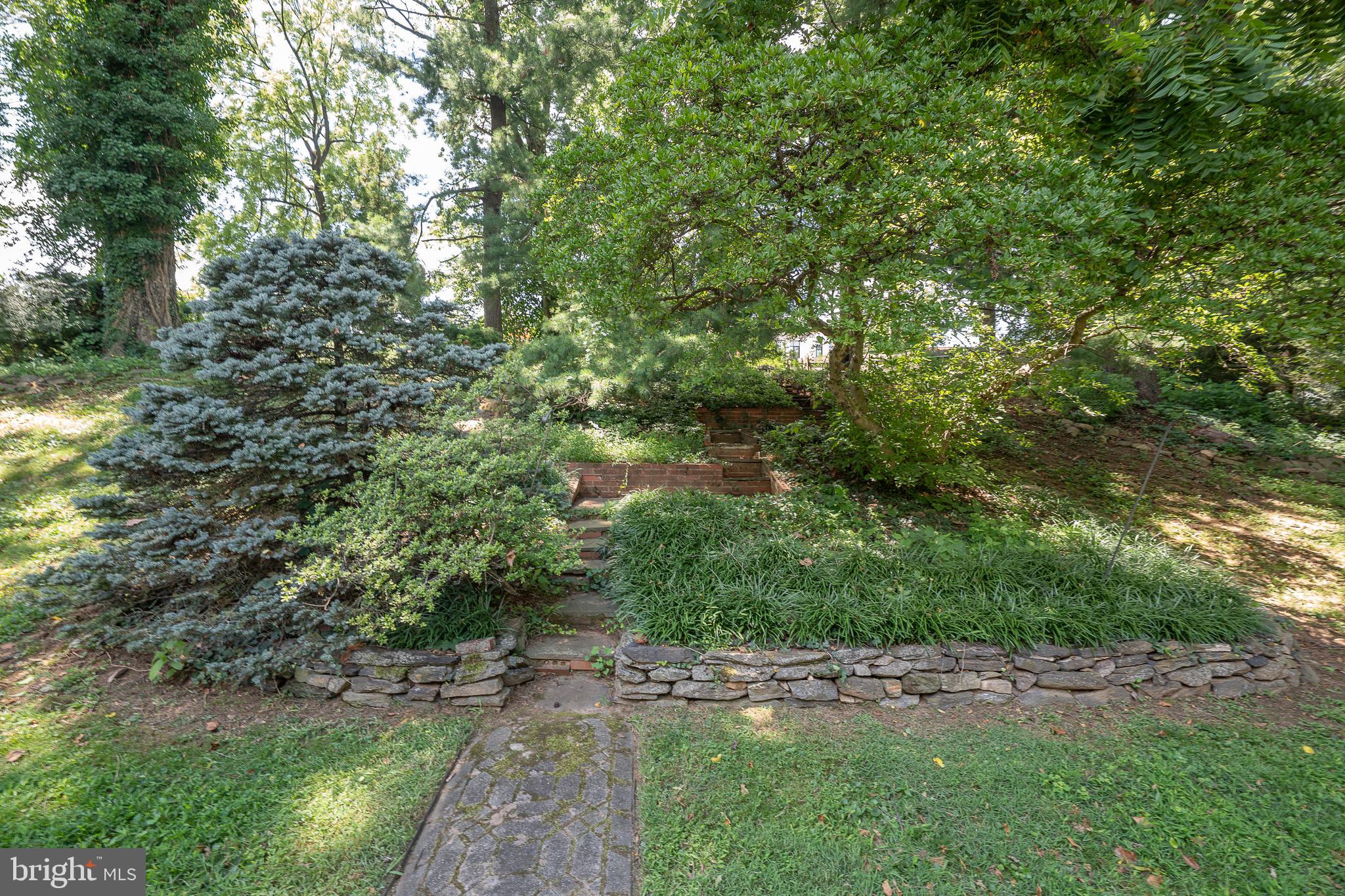 2227 North Stone Ridge Lane Villanova, PA 19085 - Photo 44 of 49 a view of a yard with plants and large trees