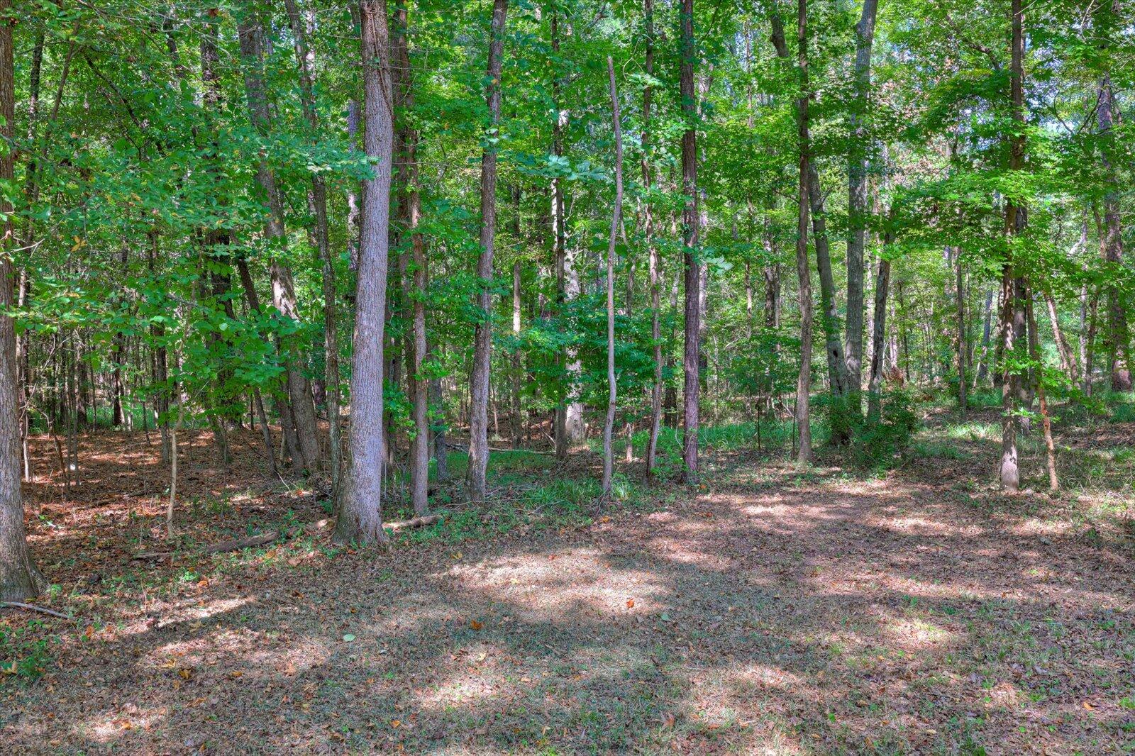 5155 North Tubman Road Appling, GA 30802 - Photo 43 of 48 46-151
