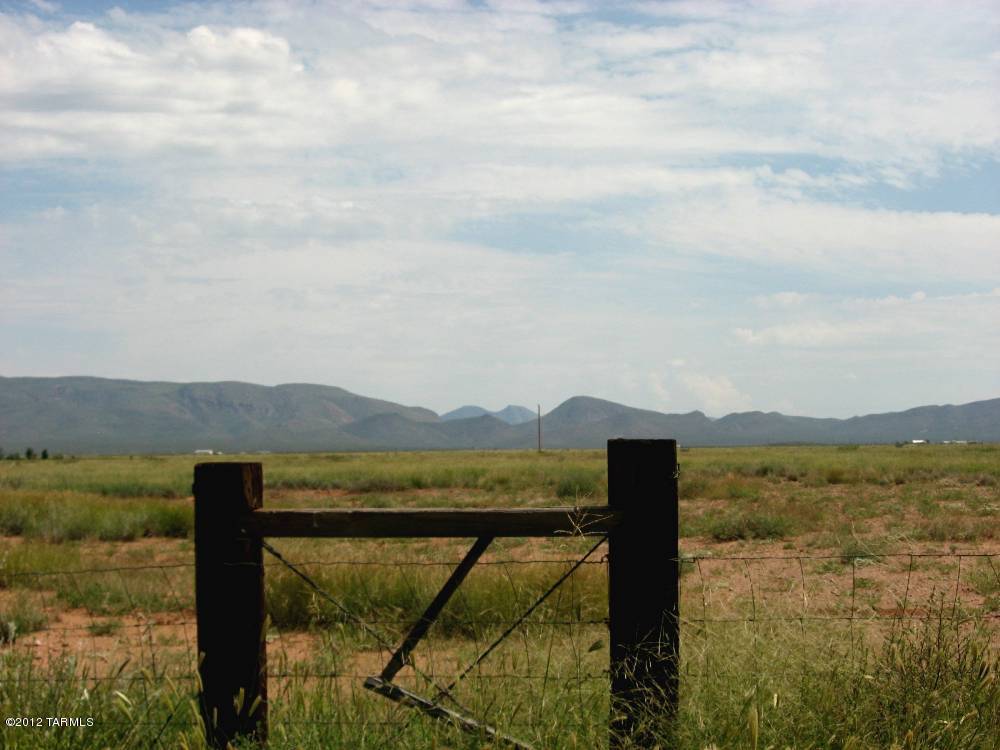 40 Acre On Ee Ranch Road McNeal, AZ 85617 - Photo 7 of 18 Gallery Image 7