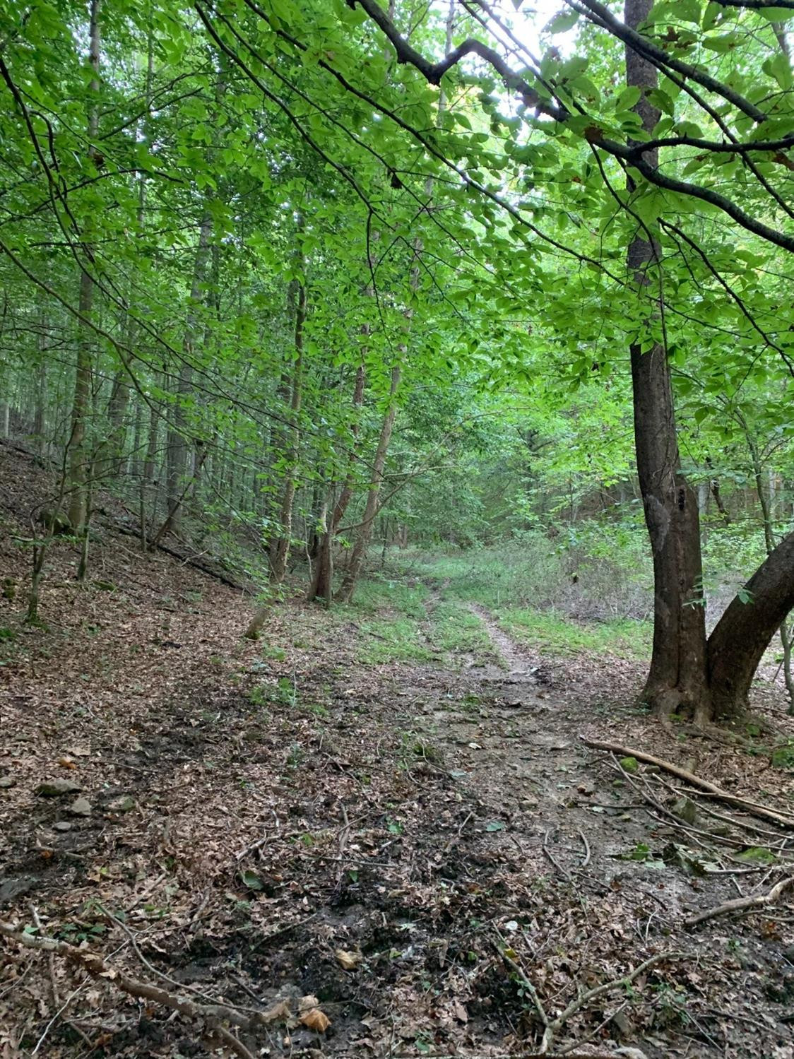 0 Upper Cane Creek Road Stanton, KY 40380 - Photo 28 of 34 Photo 30