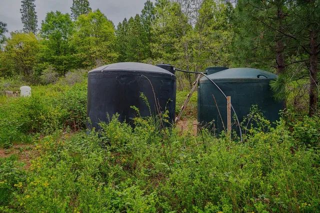 a view of a lush green forest with lots of trees