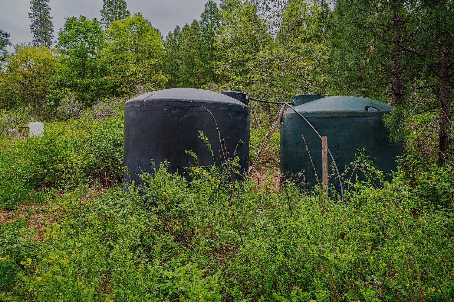 16397 Indiana Ranch Road Dobbins, CA 95935 - Photo 11 of 76 a view of a back yard
