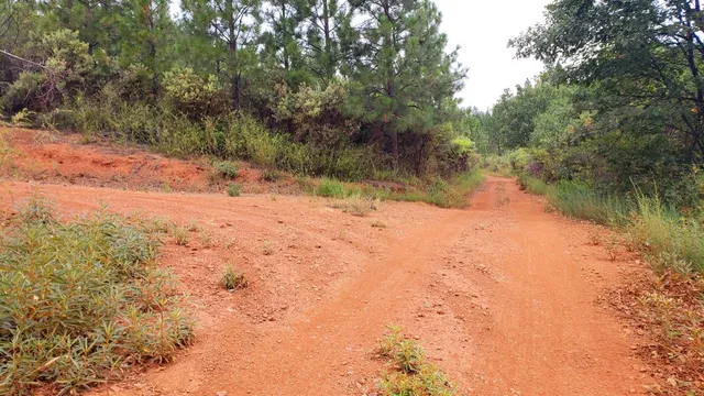 a view of a road with trees in the background